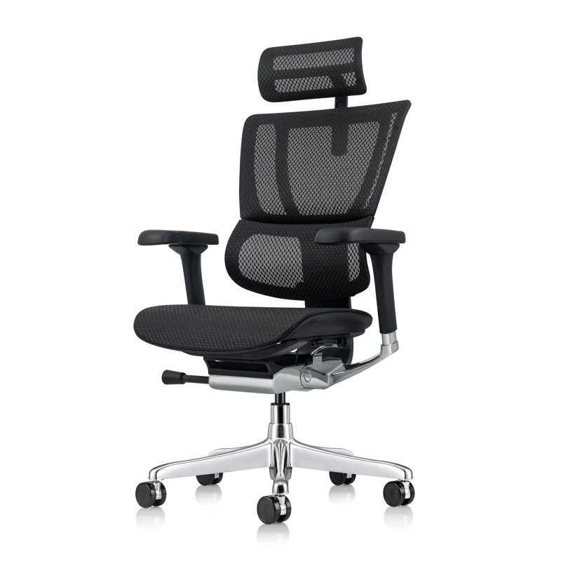 Ergohuman ME2ERG-XTREME High Back Mesh Office Chair, Black