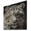 Ceryn White Tiger In Winter IV sur impression sur bois-858308432