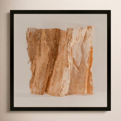 Lorena "Unpackage 3" Photo Print