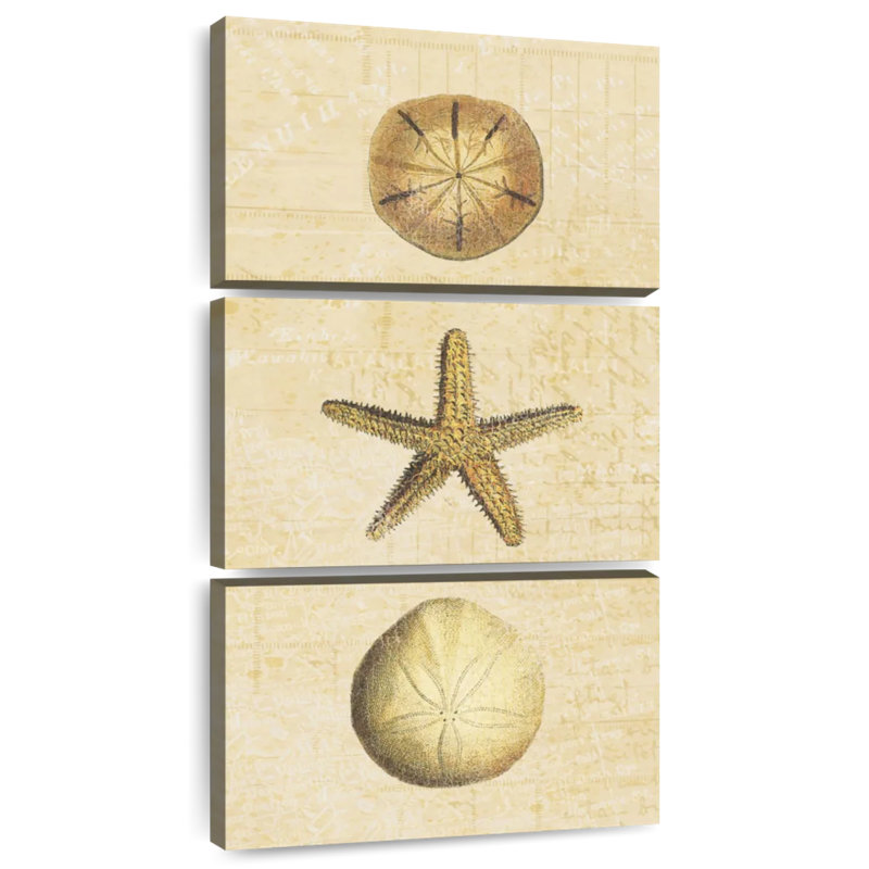 Coquillages au bord de mer, H 38 po x l 18 po