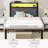 Modern RGB LED Lights Upholstered Platform Bed Frame with Wood Storage Headboard & USB Charging Ports, Noiseless Low Profile Footboard with Open Shelving. Twin-2105525321-2091998862