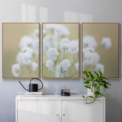 «Baby's Breath Study I», reproduction sur toile 3 pièces