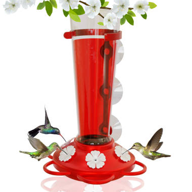 Mangeoire cône filtre un colibri