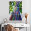 Eucalyptus hawaïen Harnek-108534041