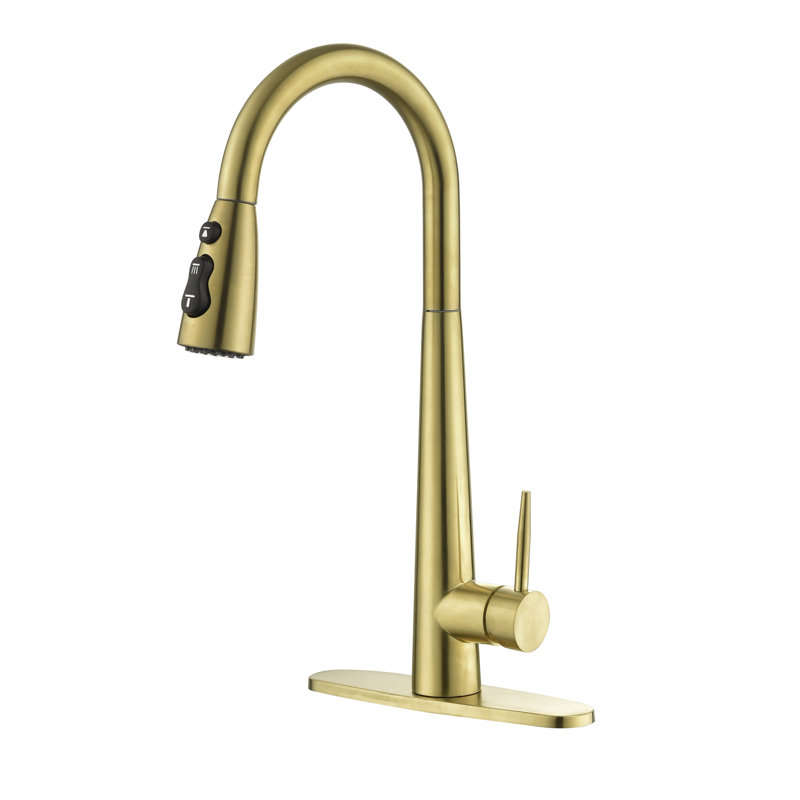 Topcraft Pull Down Single Handle Kitchen Faucet with Deck Plate, Gold