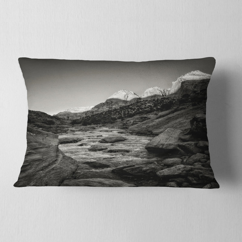 Coussin Schafer