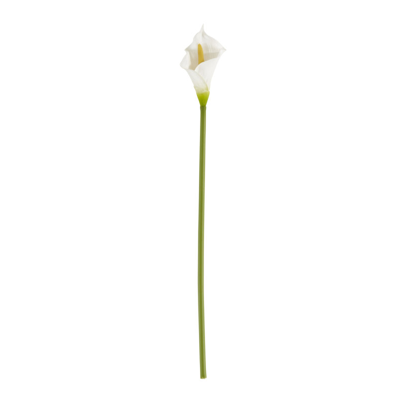 Ensemble de 12 fleurs Calla Lily