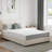Novilla Gel Memory Foam Mattress-100754625-126443060