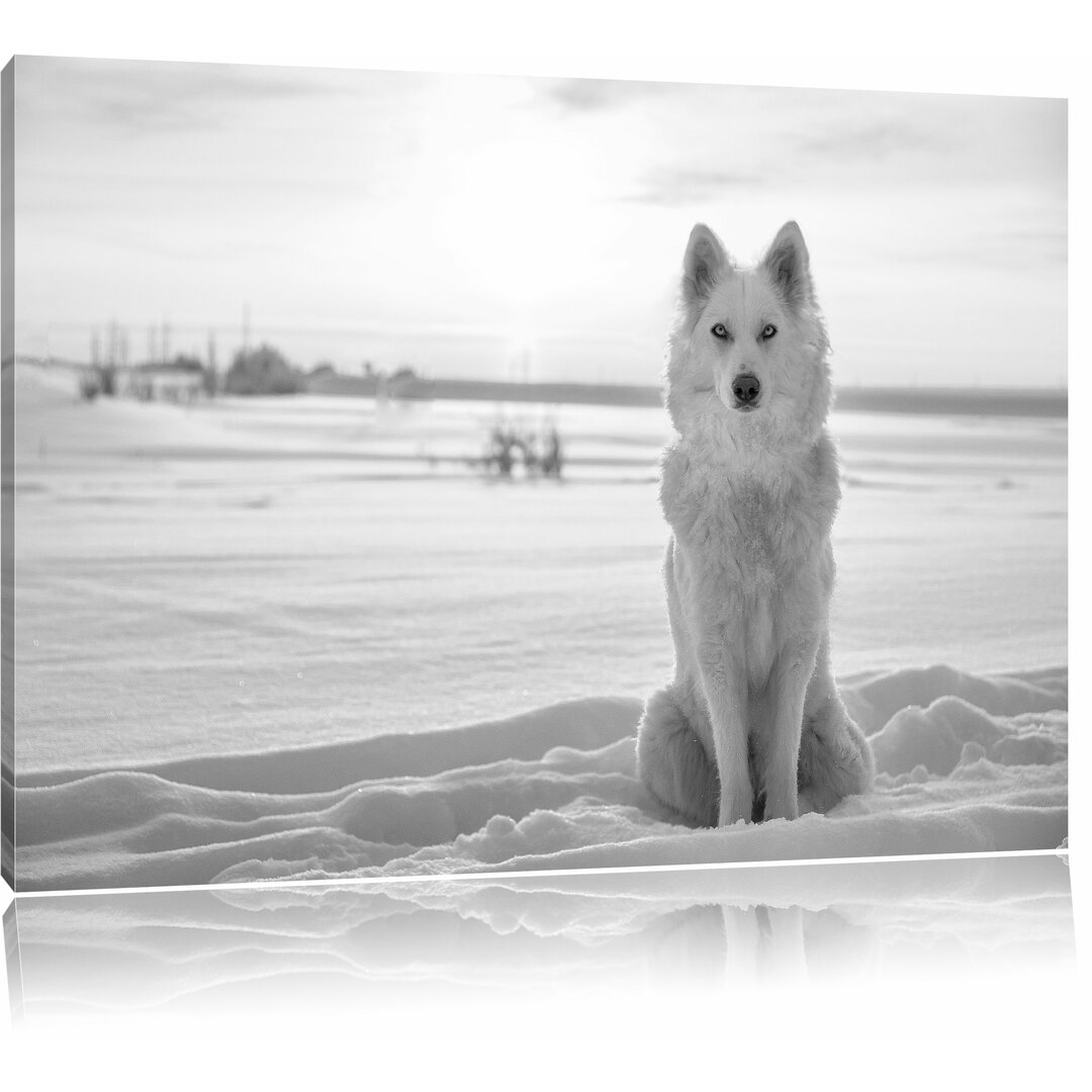 Leinwandbild „Weißer Wolf im Schnee“, Fotodruck