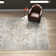 Pritts Washable Oriental Indoor Rug