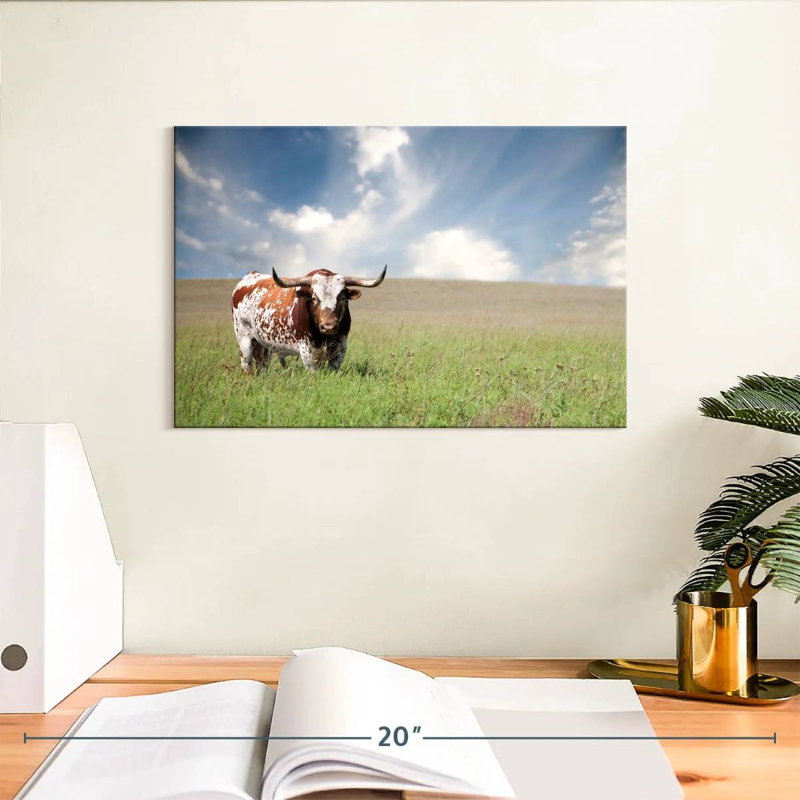Oklahoman Texas Longhorn, H 8 po x l 12 po