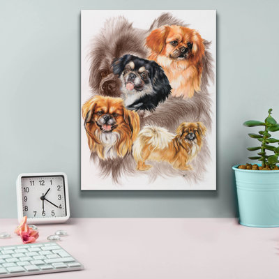 «Tibetan Spaniel 2» par Barbara Keith