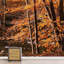Murale vibrante arbres d'automne orange-88769908