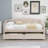 Dezden Twin Size 2 Drawers Upholstered Daybed-1980470439