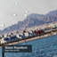 Sea Pier, bleu, eau, vert, palmiers, montagnes, Afrique, plage, avec 12 crochets-157442921