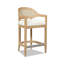 Americana Mid-Century Modern Cane Back Counter Stool-223095285-223095280