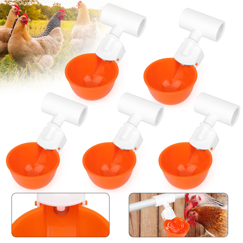 Fon Waterer