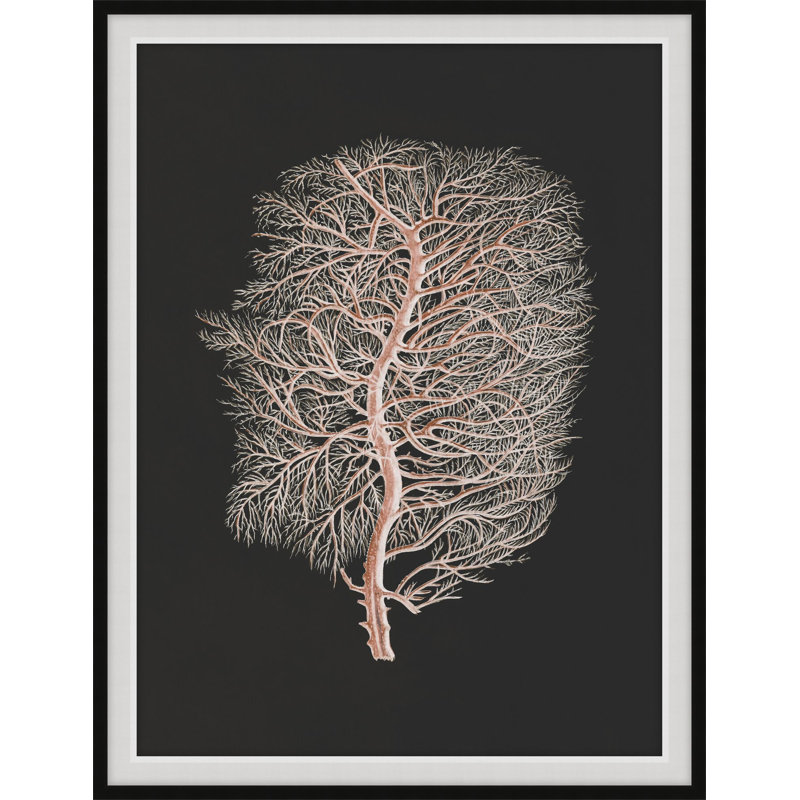 Timeless Relic 2 Print by Art House Studios, 23" H x 18" W x 1" D