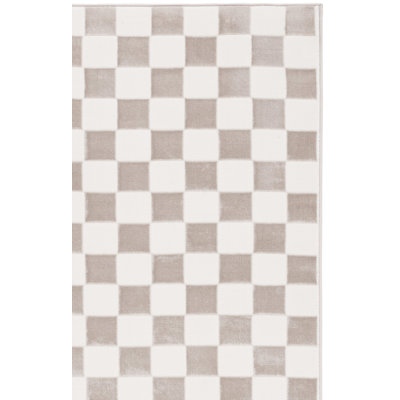 Leeni Performance Checkered Rug