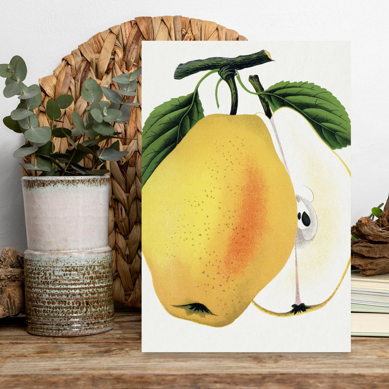 «Kiefer's Hybrid Pear Lithograph Retro Rustic Vintage Flower Fruit», art mural, H 18 po x l 12 po