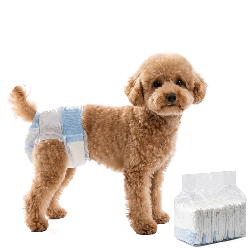 Dog Diaper