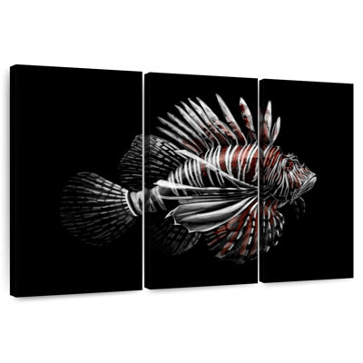 Poisson-lion Brampt sur fond noir
