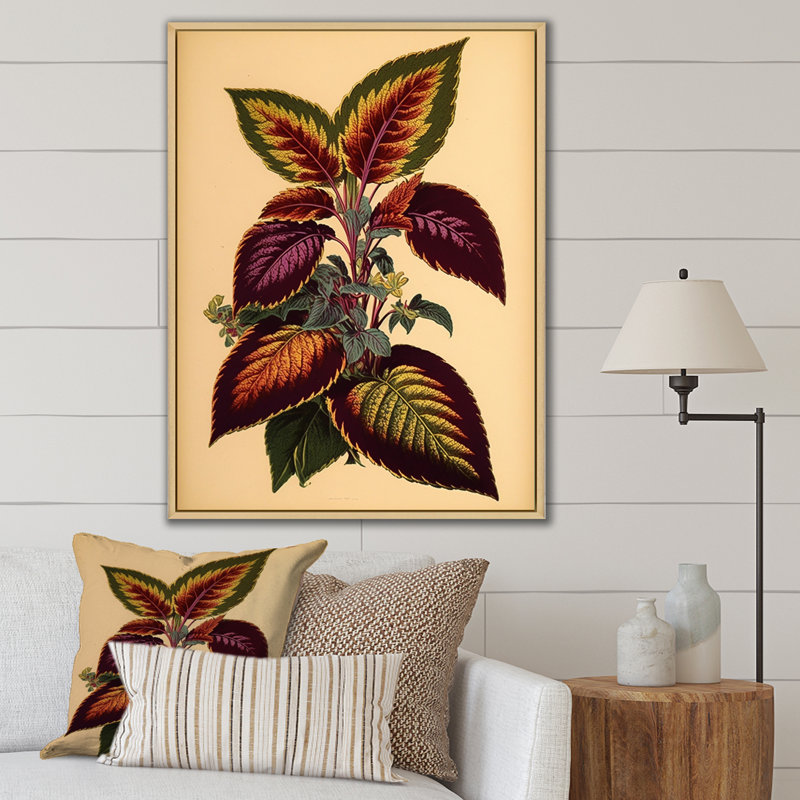 Illustration botanique rétro d'une plante Coleus, Cadre naturel flottant, H 32 po x l 16 po x P 1 po