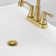 Pop-up Bathroom Sink Drain Without Overflow