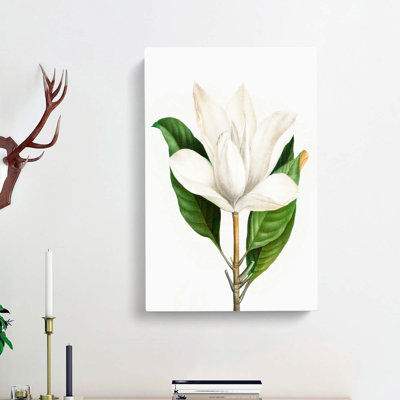 White Southern Magnolia Flower by Pierre-Joseph Redoute - Wrapped Canvas