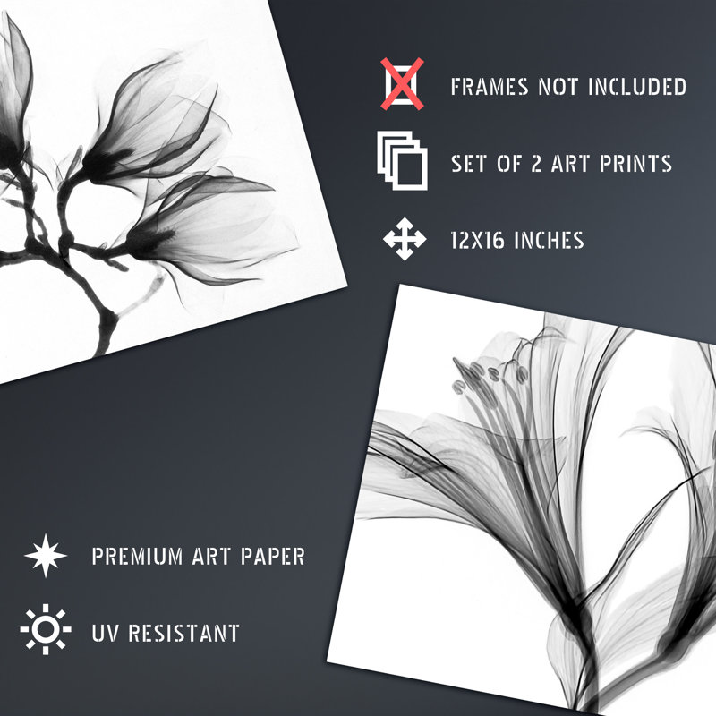 Flower X-Ray's Lily And Magnolia Black White 2-Piece Set Unframed Wall Art Prints Office Study Aesthetic Photograph