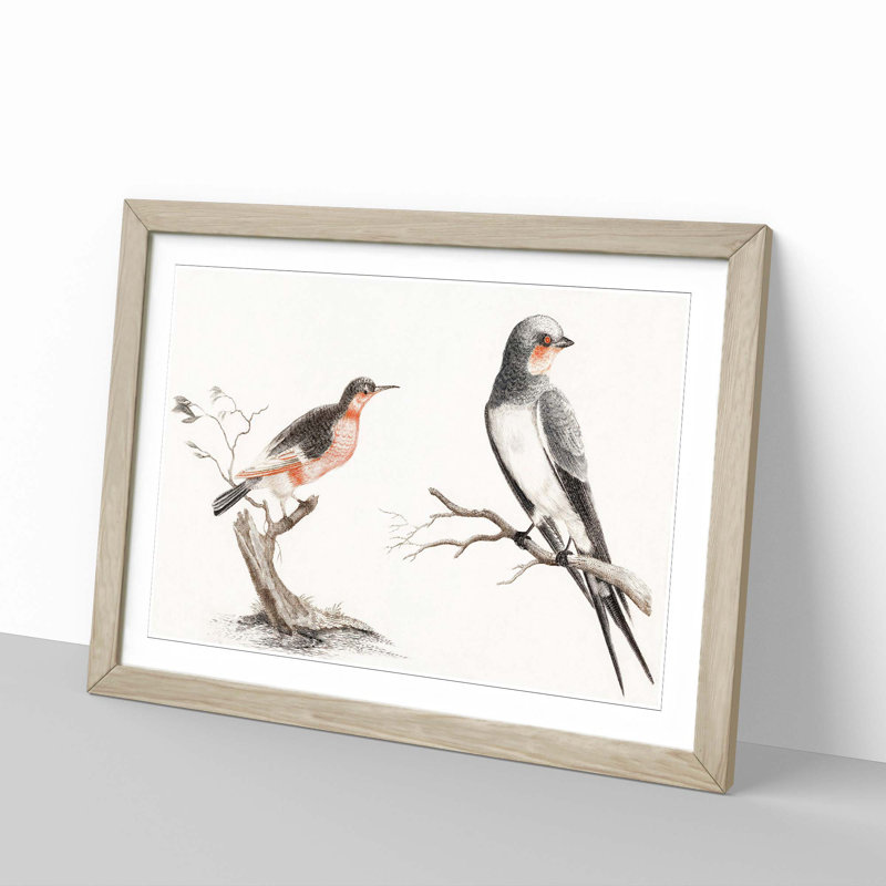 Songbird & Bee-Eater Bird by Johan Teyler - Framed Print, 36cm H x 48cm W x 2cm D, Oak Framed