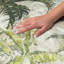 Tapis de qualité supérieure lavable à la machine à poils longs Dream ADS205-138948936
