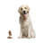 Somersall Animals Figurines & Sculptures