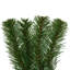  Couronne de pin séquoia 72 "72 pouces 1276T
