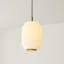Eleta 1 Brushed Brass Pendant-1302085089