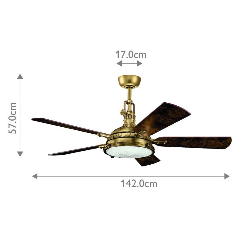 Marcela 56cm Ceiling Fan with LED Lights
