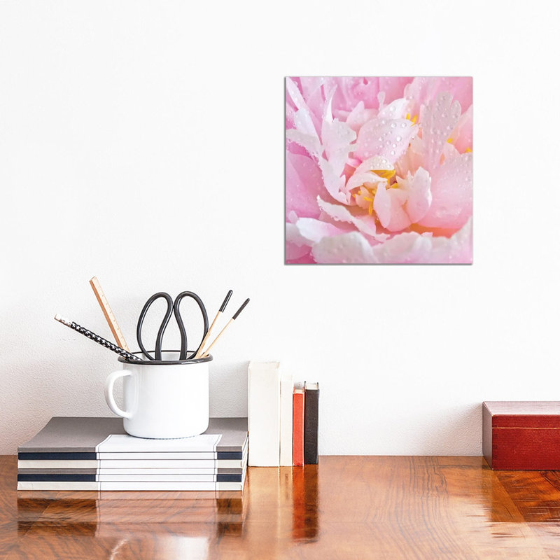 Peony Unfurled - Wrapped Canvas Print, 30.48 cm H x 30.48 cm W