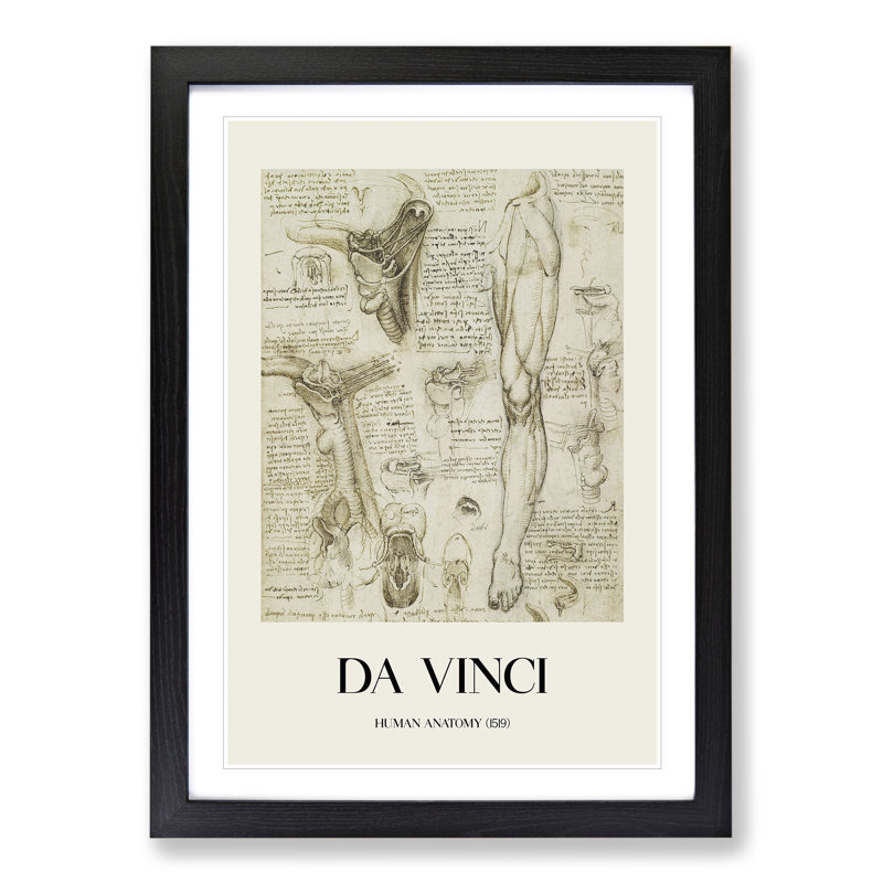 Human Anatomy Vol.7 by Leonardo Da Vinci - Picture Frame Drawing, Black Framed, 36cm H x 27cm W x 2cm D