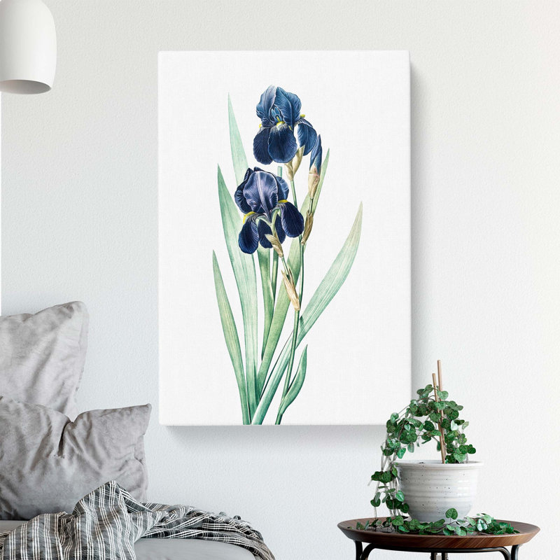 German Iris Flowers by Pierre-Joseph Redoute - Wrapped Canvas, 50cm H x 35cm W x 3cm D
