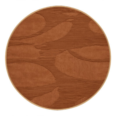 Machine Washable Abstract Brown Area Rug