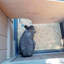 Weather Resistant Rabbit Hutch
