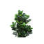 31 po Fausse plante de garginia en pot de ciment