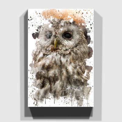 Tawny Owl - Wall Art