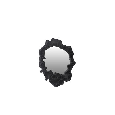 Barnacle Wall Mirror