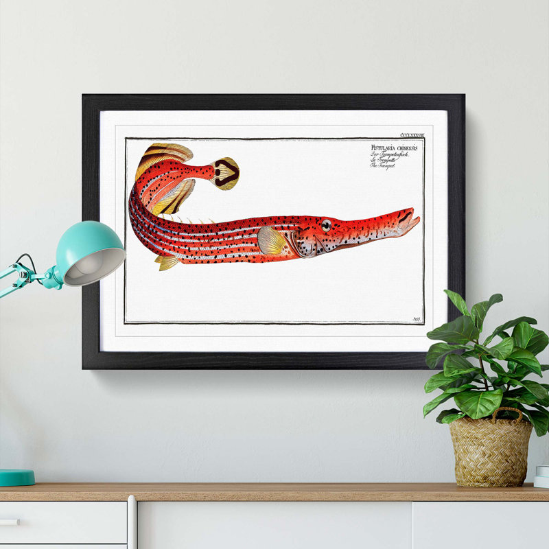 Trumpet Fish by M.E. Bloch - Framed Print, 36cm H x 48cm W x 2cm D, Black Framed