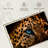Leopard Eyeing Prey-107887179