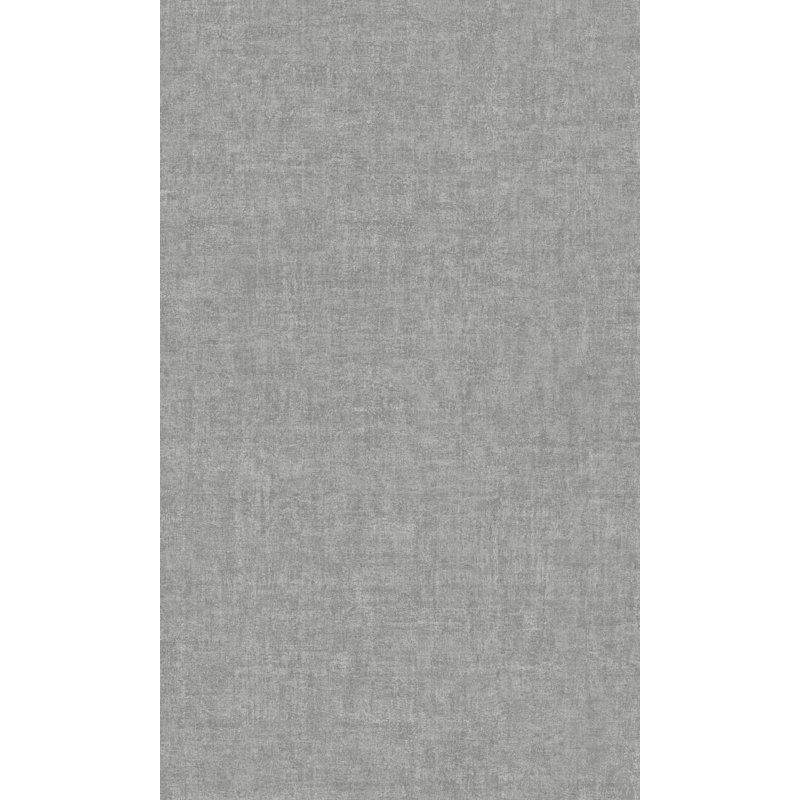 Rouleau de papier peint L 33 pi x l 21 po Asperia, Gris frais