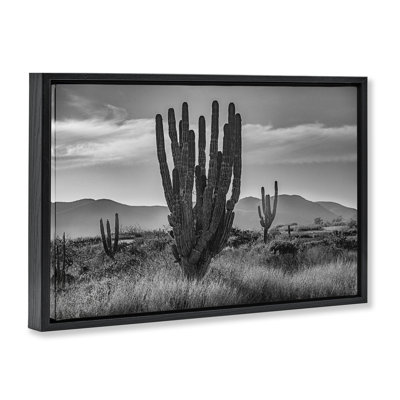 Cactus coucher de soleil dans un cadre flottant monochrome, design par Norm Stelfox