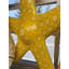 Statue comique étoile de mer à paillettes