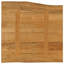 Vidaxl Table Top Solid Wood Mango-102731047